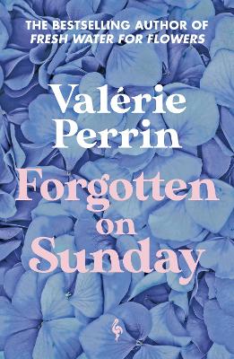 Forgotten on Sunday: From the million copy bestselling author of Fresh Water for Flowers (Paperback) - Valerie Perrin Book