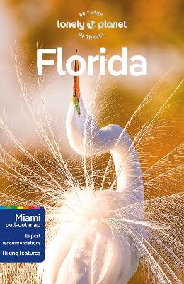 Lonely Planet Florida (Paperback) Book