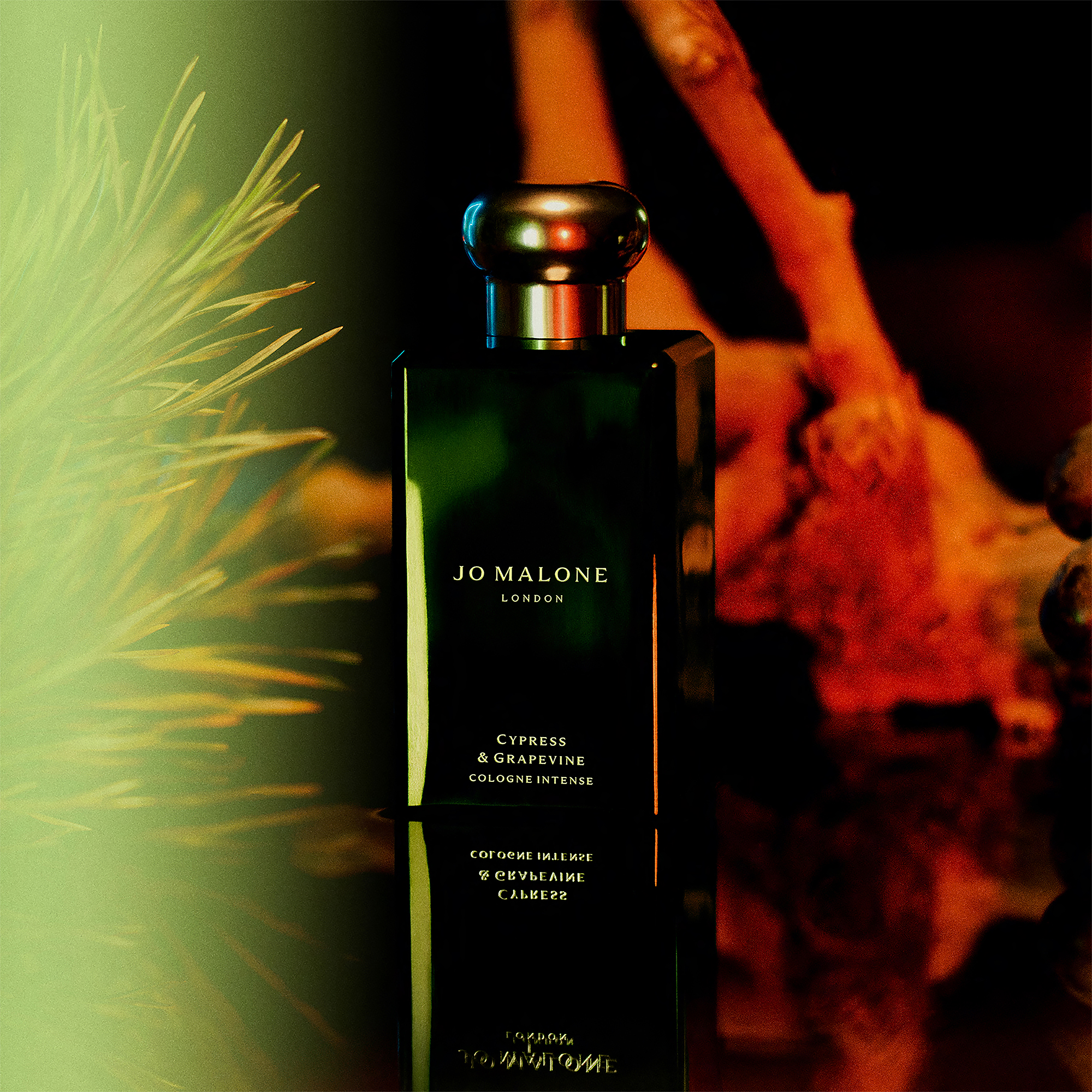 Jo Malone London Cypress & Grapevine Cologne Intense 50ml
