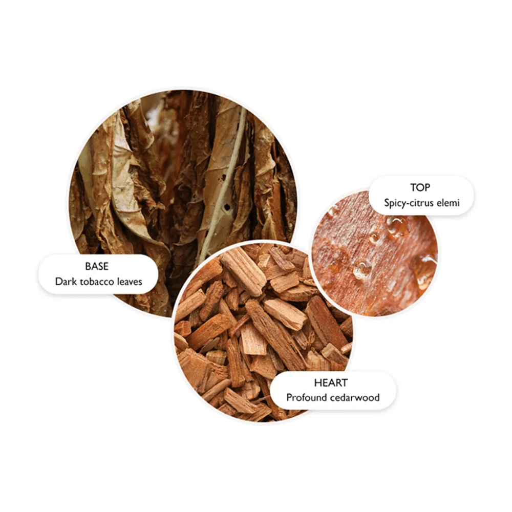 tobacco face cancer Smoking and its effects on the skin